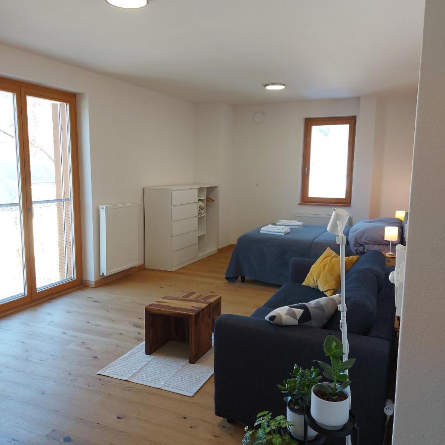 Železná Ruda Studio Apartman 22, Rezidence Javor מראה חיצוני תמונה